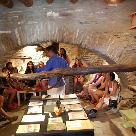 Cyclades Olive Museum'S Guest House Pitrofos Dış mekan fotoğraf